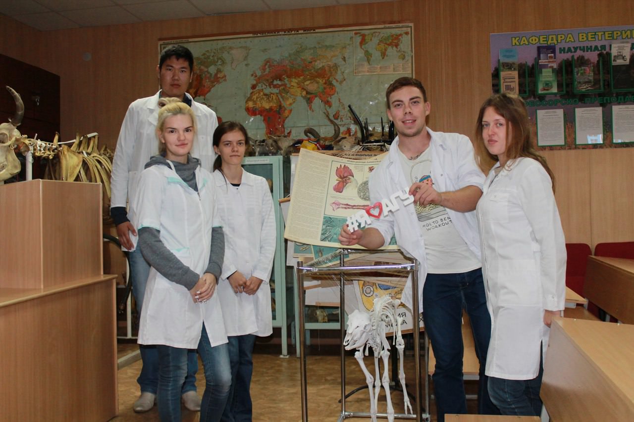 ������� ������������ ��������