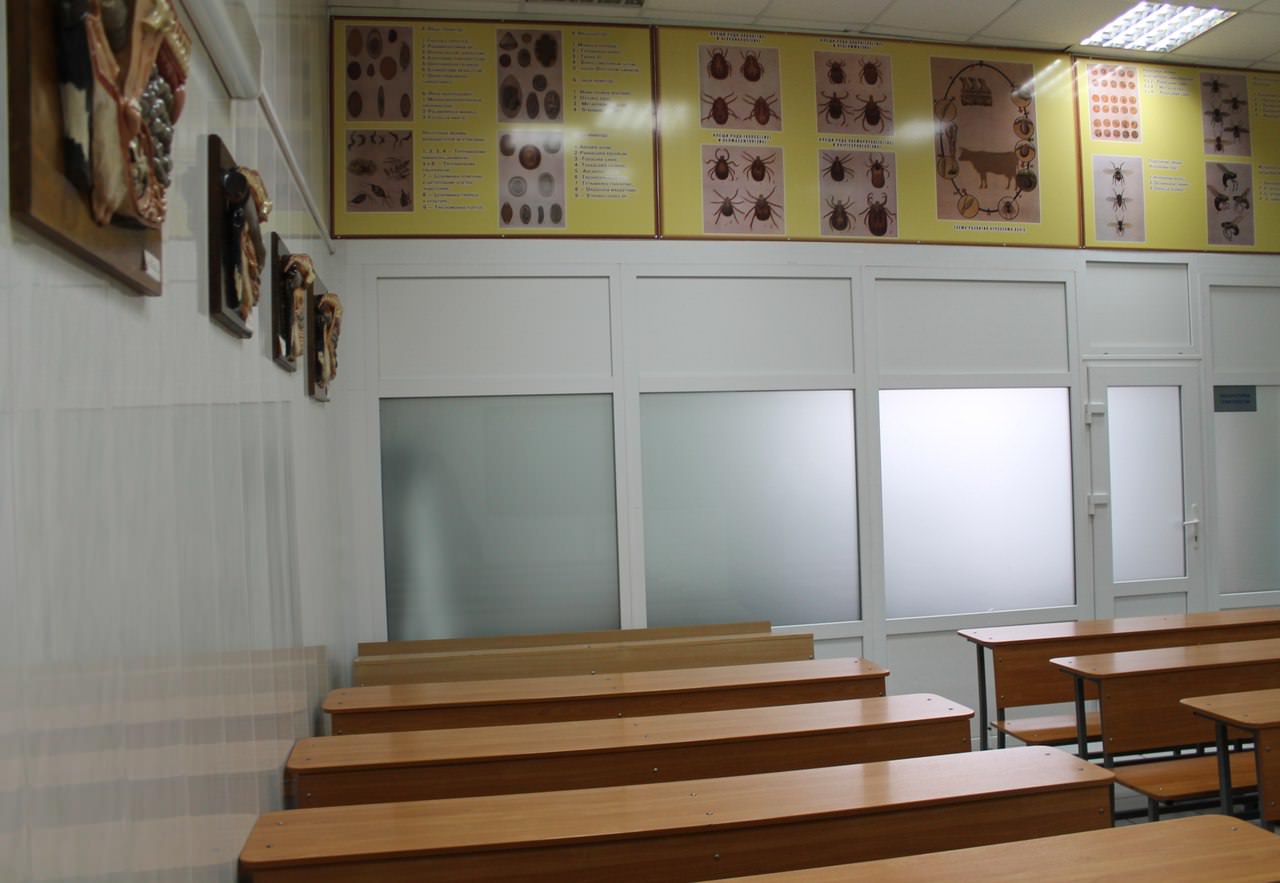 ������� ������������ ��������