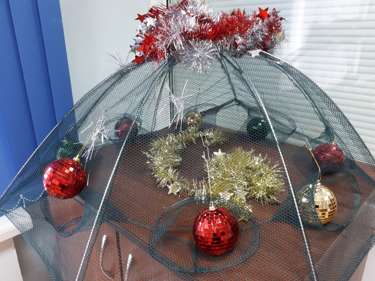 Будущие журналисты АГУ превратили сдачу зачёта в праздник