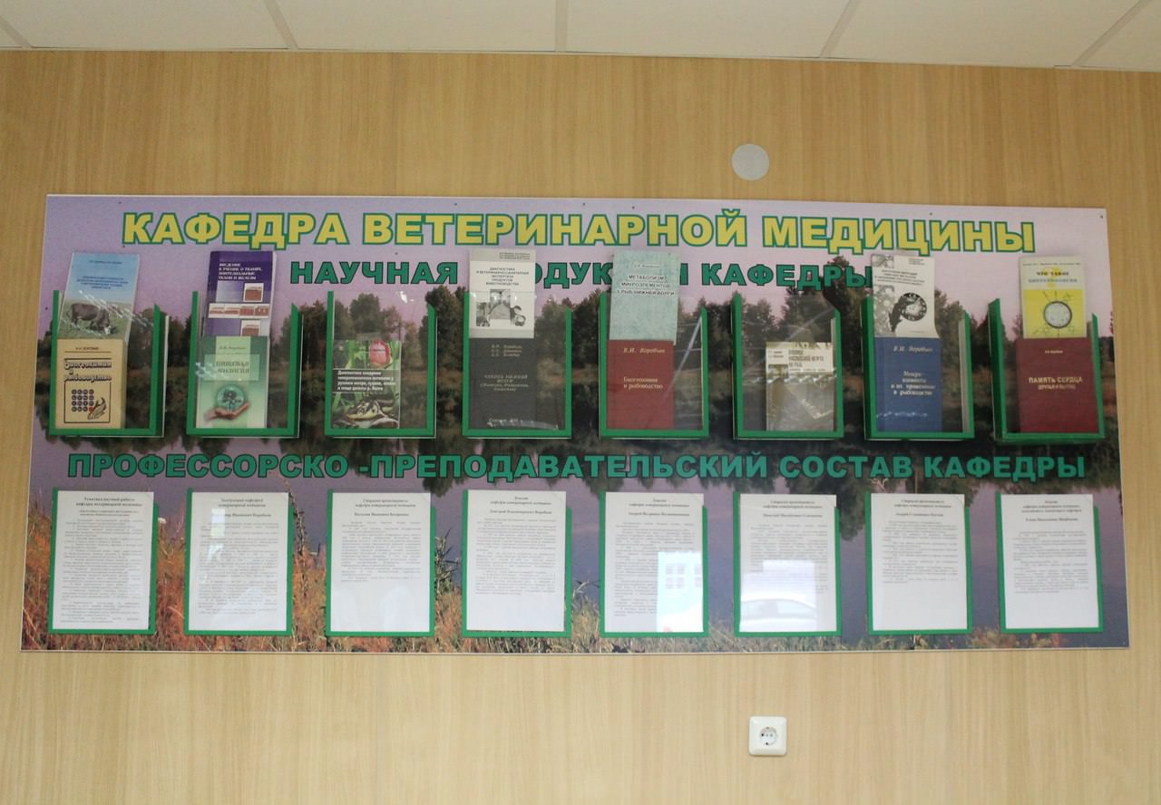 ������� ������������ ��������