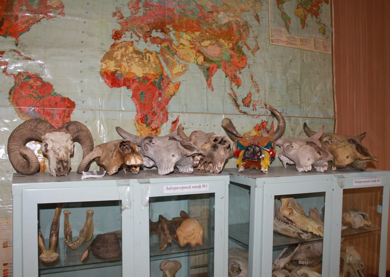 ������� ������������ ��������