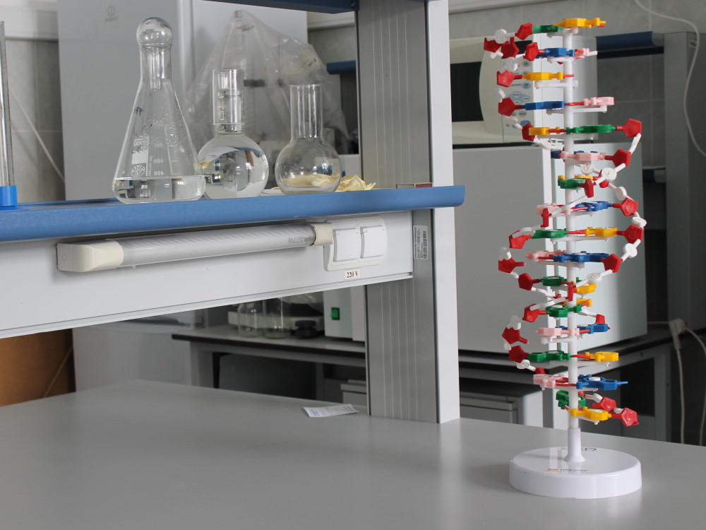 ��� ������ �������� ���������� ����������� ������������