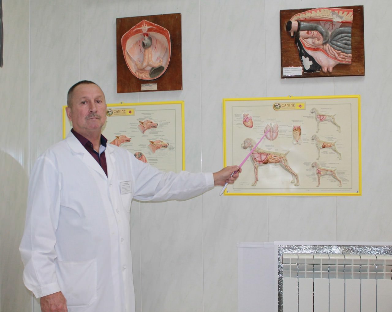 ������� ������������ ��������