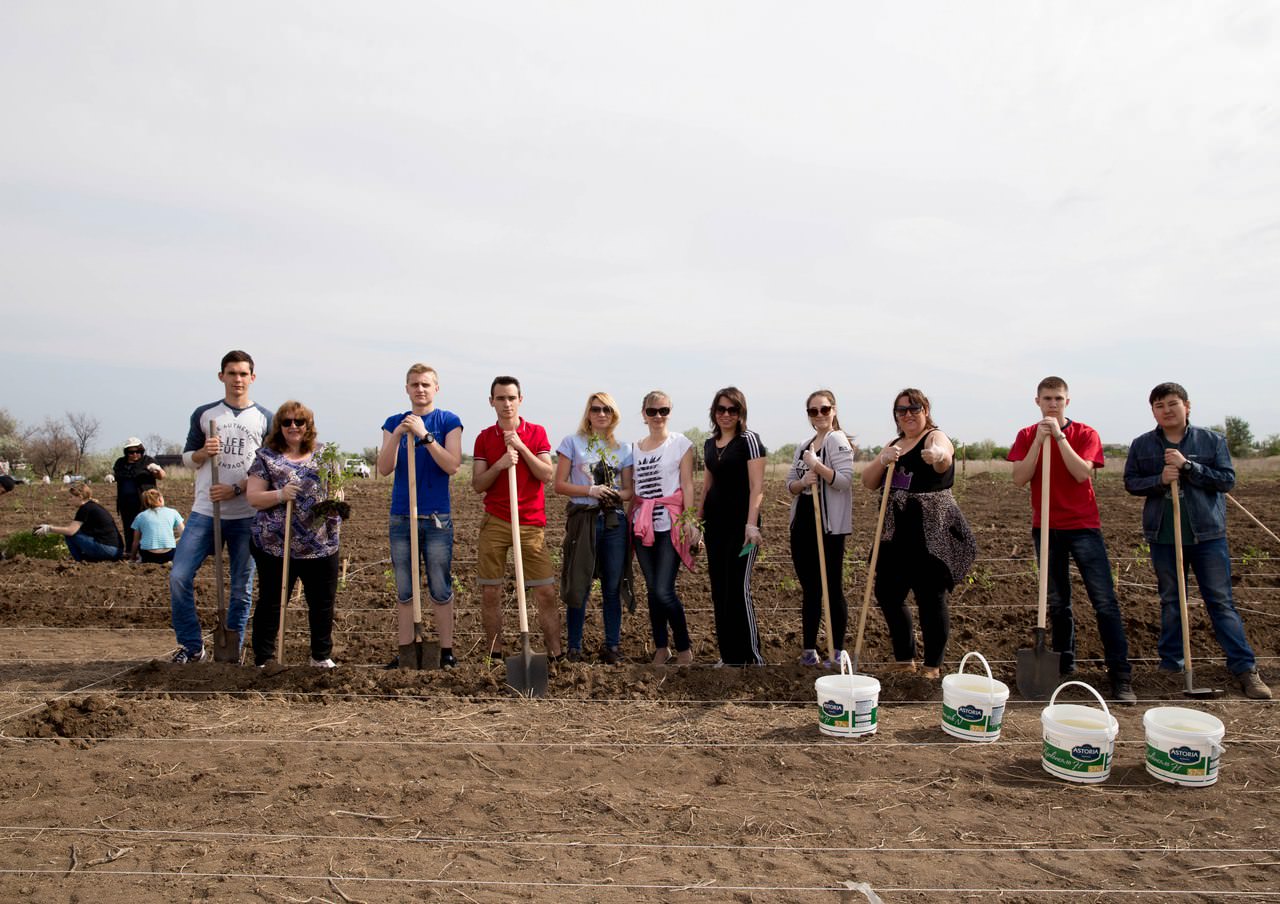 ������������ ������ � ��� 