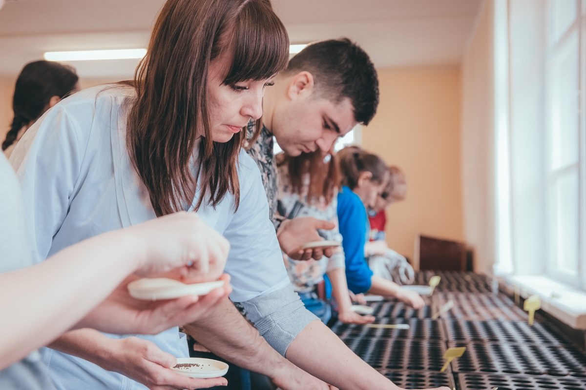  ������������ ��������������� ����� ������ �������