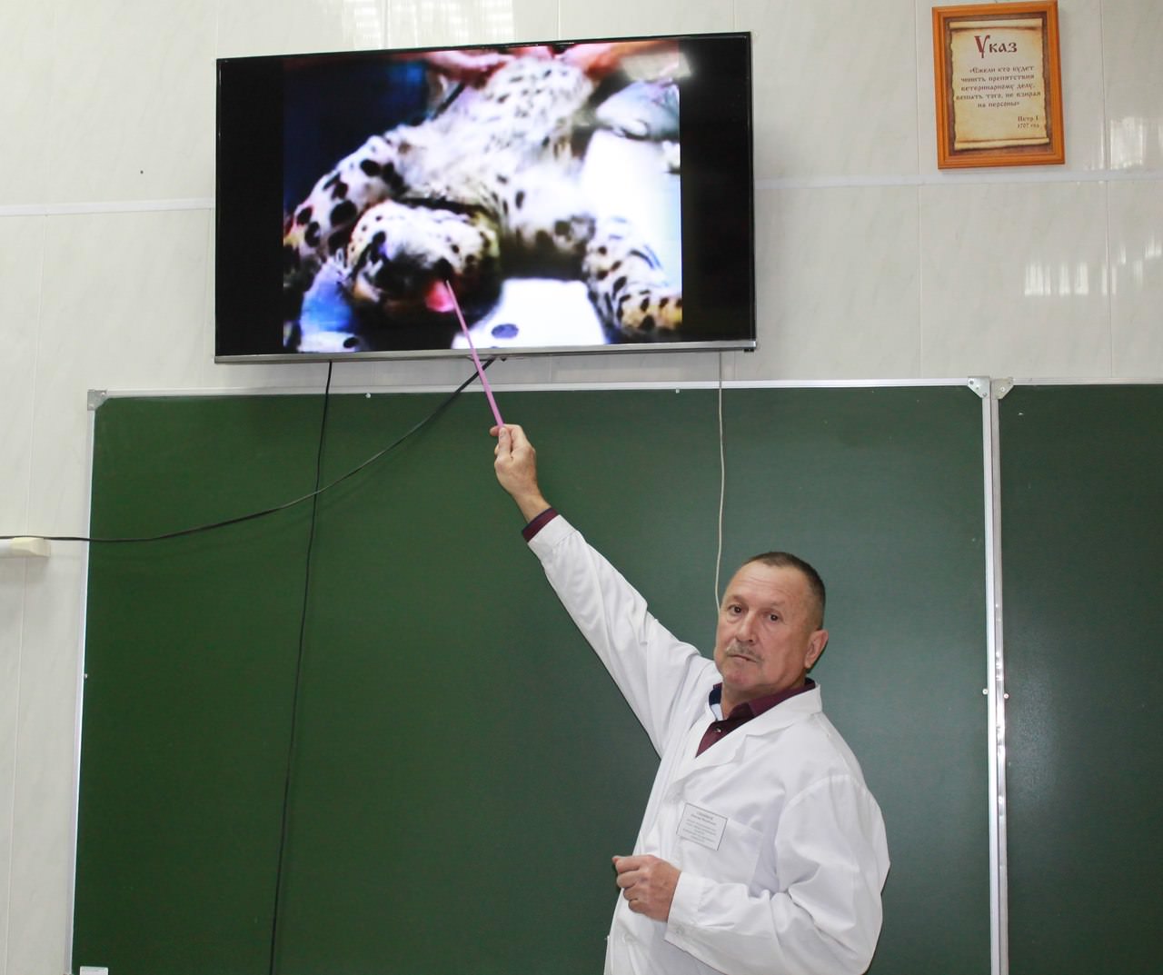 ������� ������������ ��������