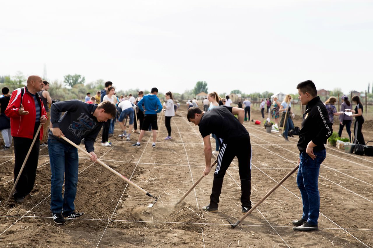 ������������ ������ � ��� 