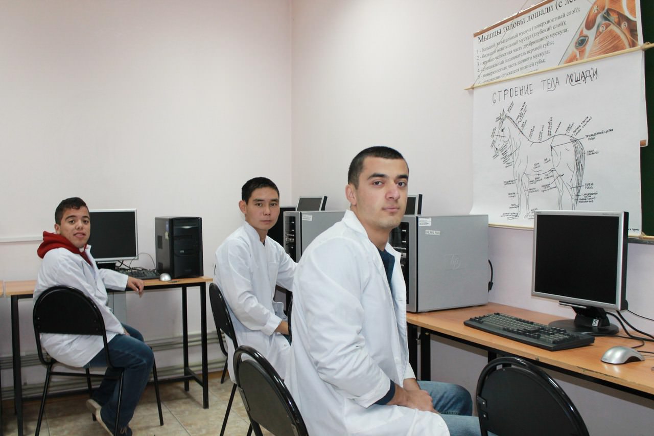 ������� ������������ ��������