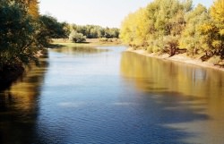 �����-����������� �����