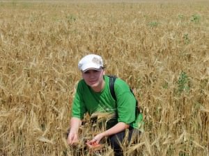 ���������� ���������� ��������� ���������� ��� ������� ���������� �� ��������� ISFRADA