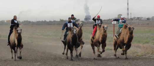 ������ �� ��������� ��������� ������ �� ���� ����������� ������������ �������