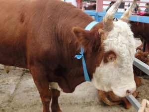 ��� ����� ��������� ������ �� X ��������� �������� ��������� ��������