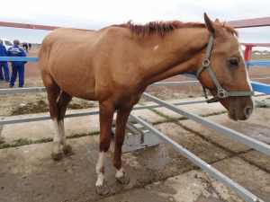 ������� ������� ������� ������ �� X ��������� �������� ��������� ��������