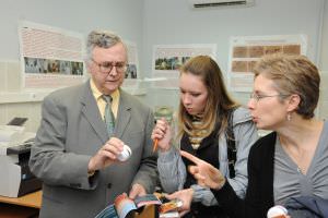 ������ ������������ �������� �� ������������ ���������� ������������ �������� ������������ ������ � ��� (14�18 ������� 2008 ����)