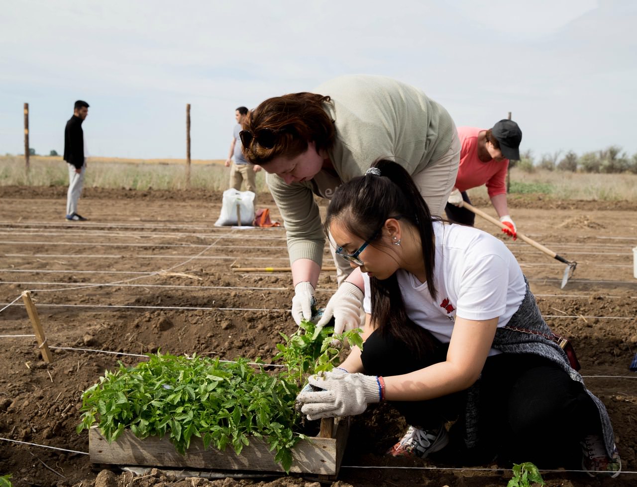 ������������ ������ � ��� 