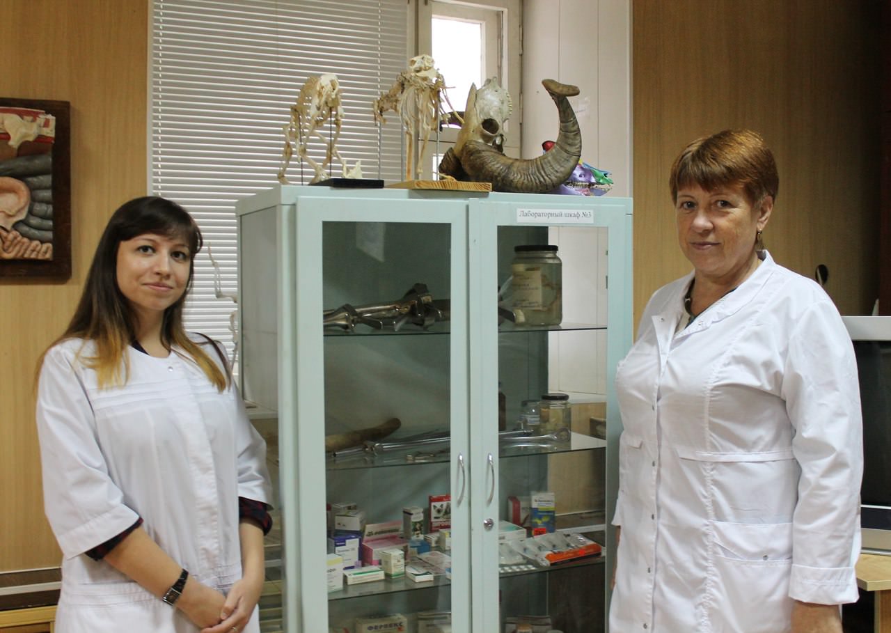 ������� ������������ ��������