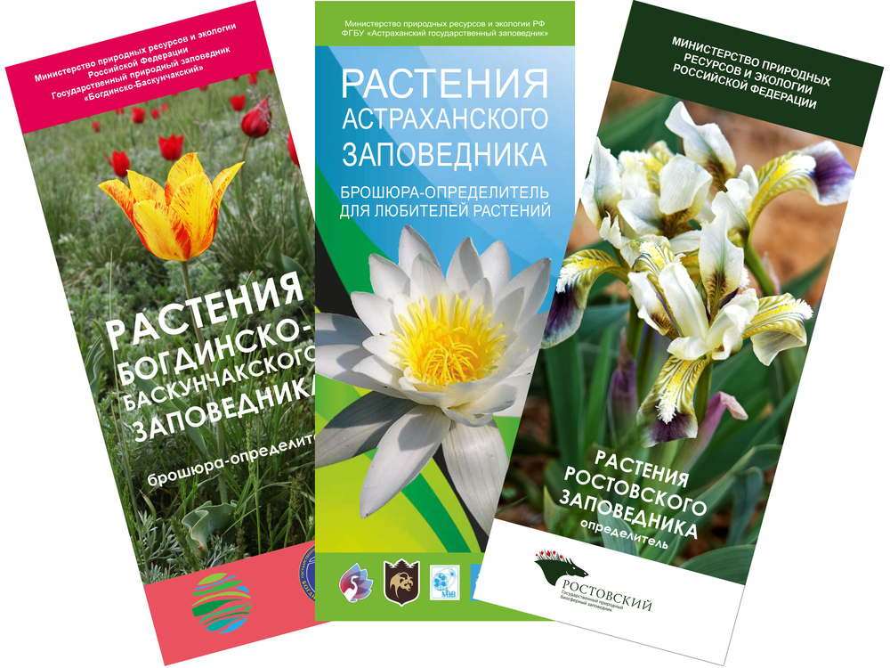 ��������� ��� ���� ������� ����������������� ����� ��� ������������ ��