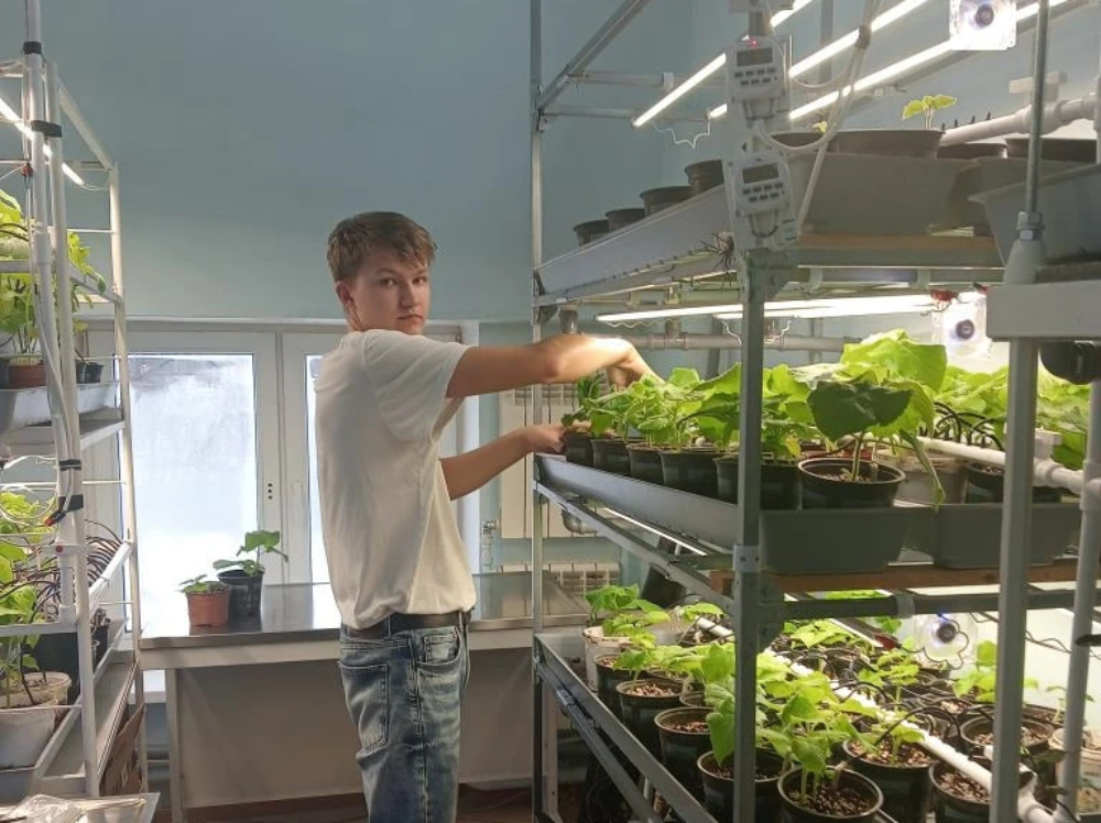 ������ �������� ��� ������� ������ � �������� ������������� �������

